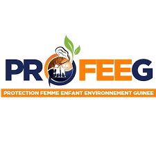 PROFEEG logo
